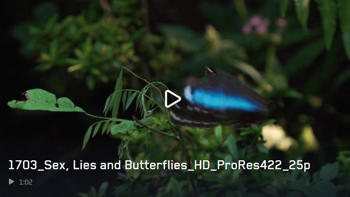 Sex lies and butterflies